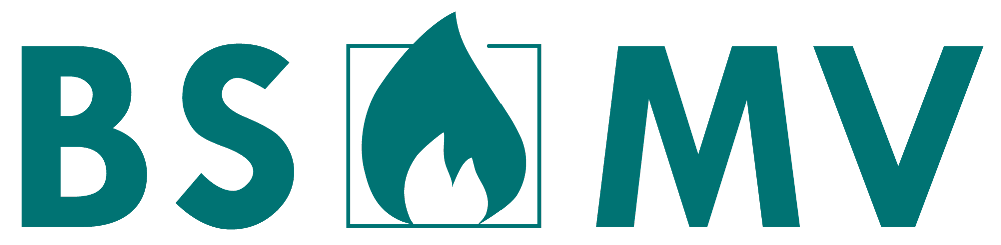 BSMV GmbH